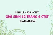 Giải Sinh 12 trang 6 Chân trời sáng tạo SGK